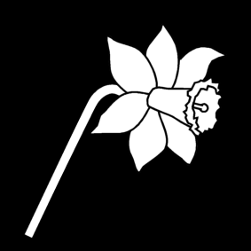 narcis.jpg